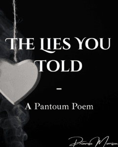 The Lies you Told