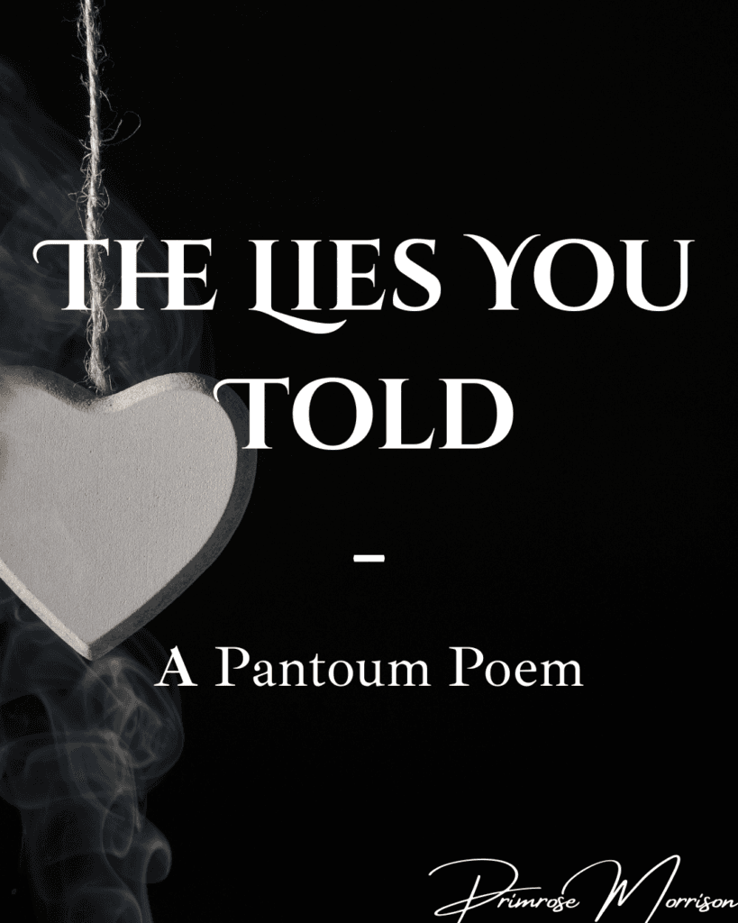 The Lies you Told